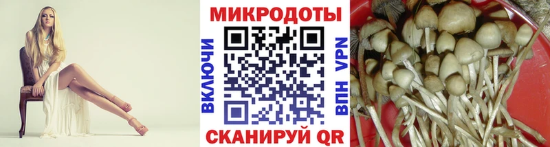 магазин продажи наркотиков  Пенза  Псилоцибиновые грибы Magic Shrooms 